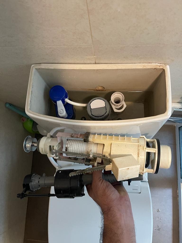 Toilet Flash Repair And Replace Service